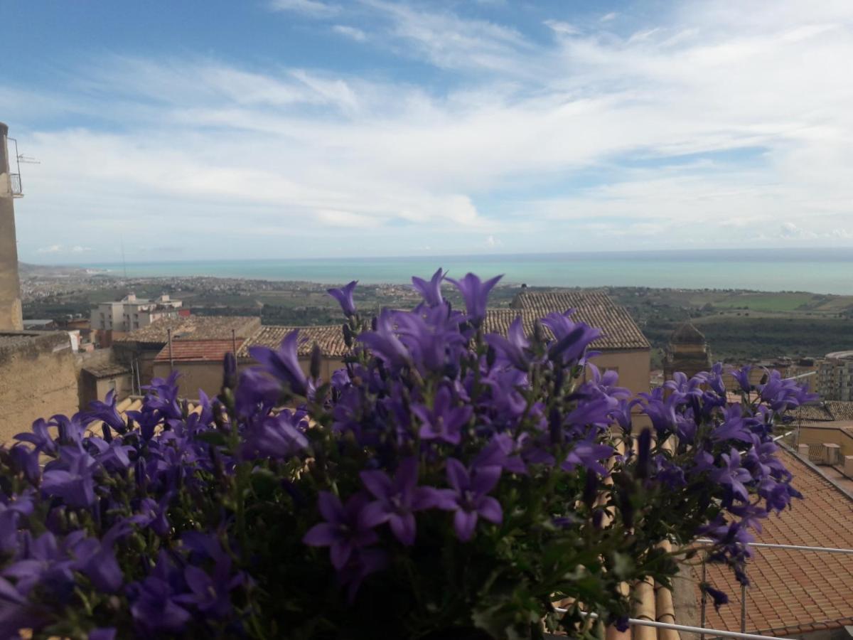 Tesori Di Girgenti Bed & Breakfast Agrigento Ngoại thất bức ảnh