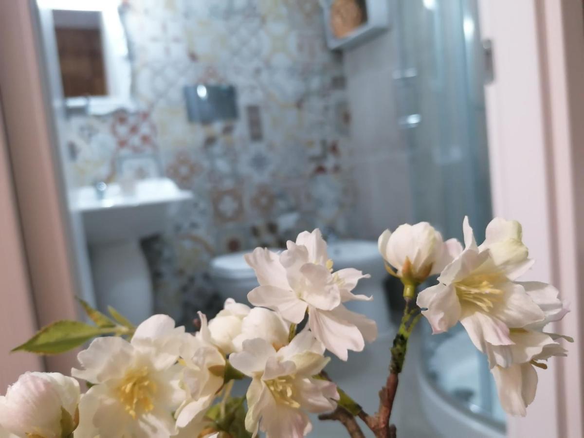 Tesori Di Girgenti Bed & Breakfast Agrigento Ngoại thất bức ảnh