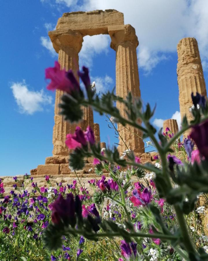 Tesori Di Girgenti Bed & Breakfast Agrigento Ngoại thất bức ảnh